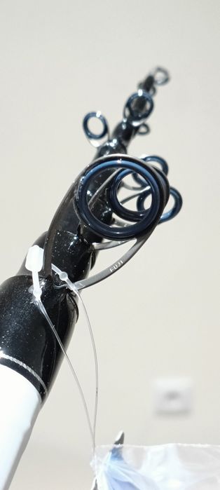 Cana de bóia Vega Sorento envolve 5M