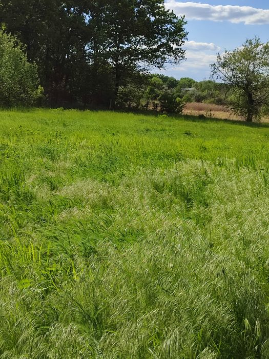 Продам участок,орловщина