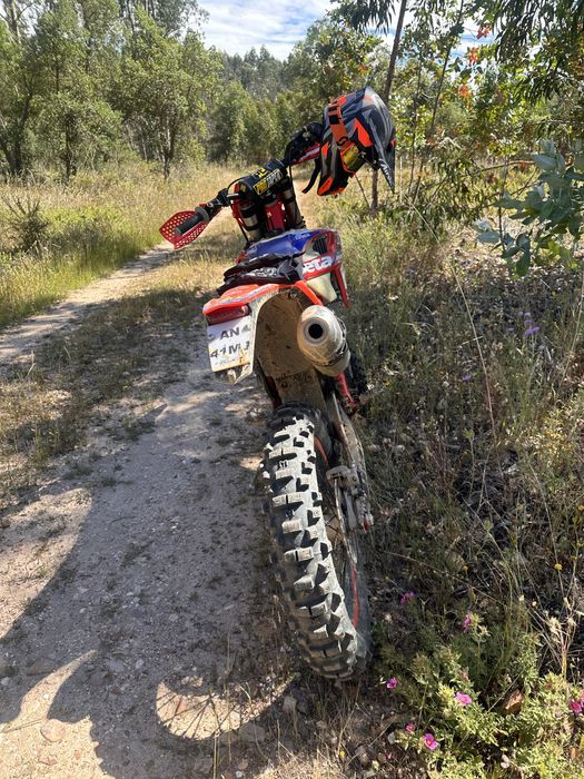Beta 390 ec de 2022