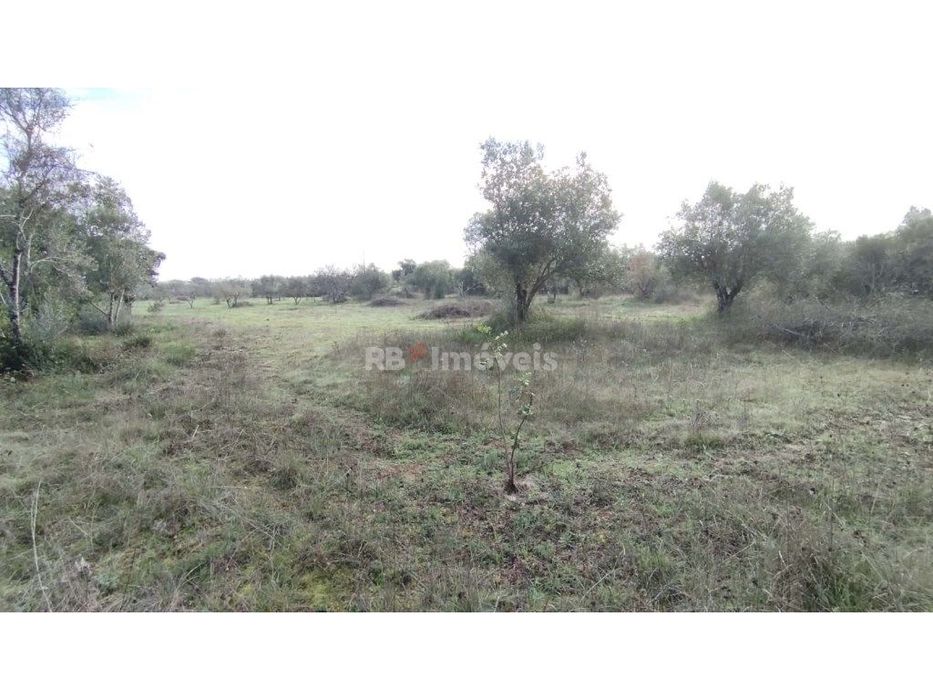Terreno misto com 3080 m2, em Delongo