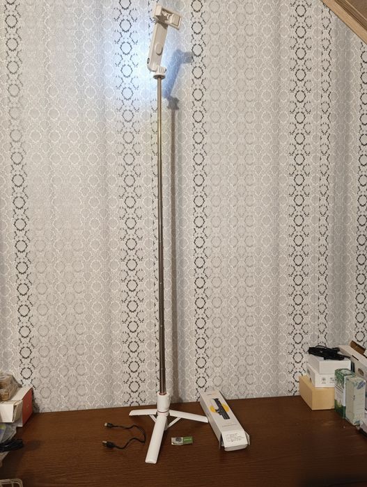 Selfie stick show light