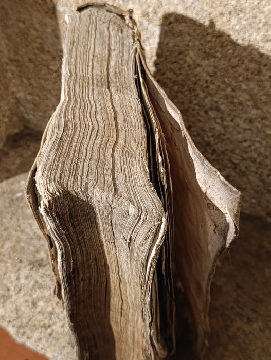 Constituições Synodaes do Arcebispado de Braga (1697)