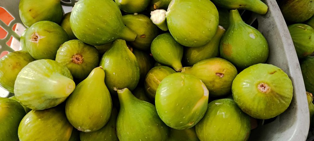 Figos pingo de mel biológicos