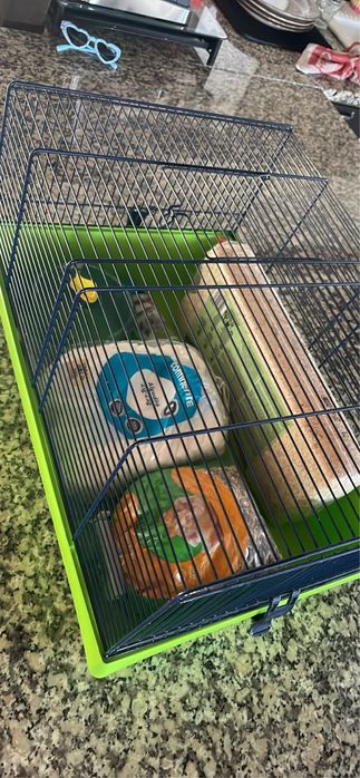 Gaiola Hamster Grande