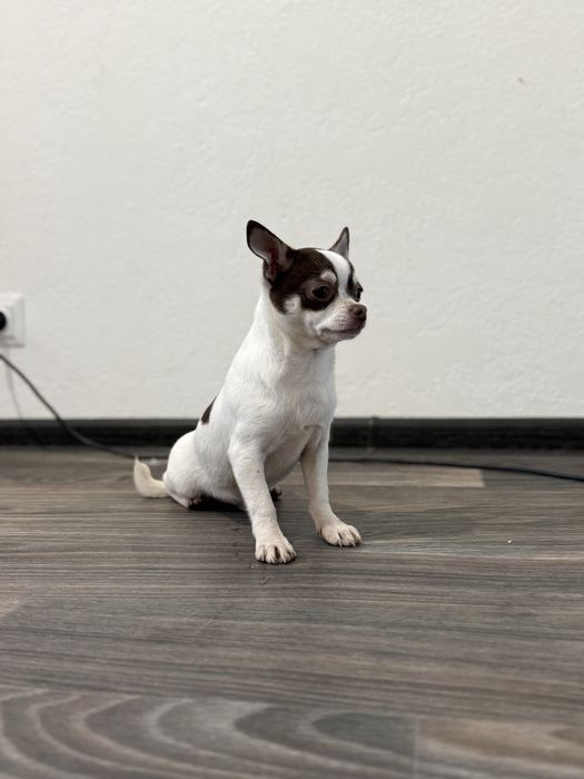 Розпродаж.хлопчик за супер ціною