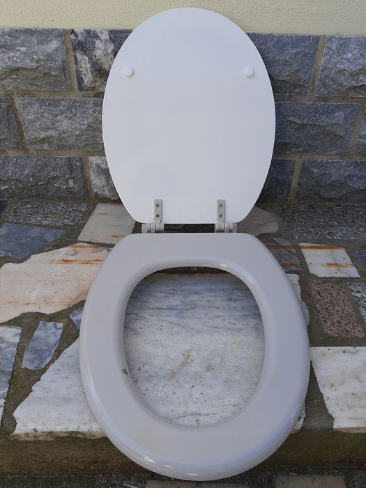 Tampa de sanita com decoração