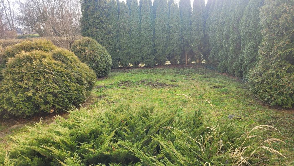 3-pokojowe mieszkanie Chrzanów