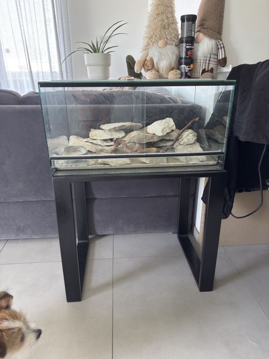 Terrarium z stolikiem