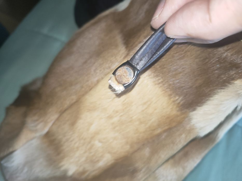 saco em pele vintage