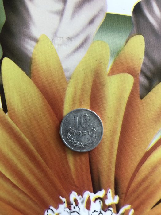 Продам 2 копійкі