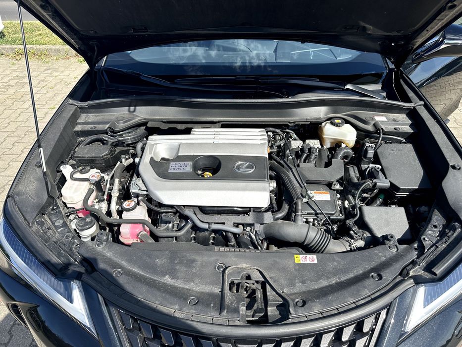 Lexus UX 250H Buissness Edition, pierwszy właściciel, bezwypadkowy