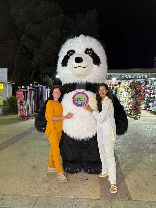 Великий Стіч привітання, панда День народження, аніматори Луцьк