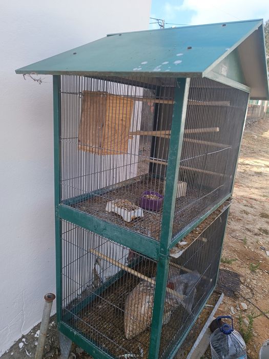 Viveiro para aves