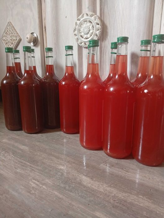 Olej z kwiatów dziurawca 2025 świeży, duża butelka