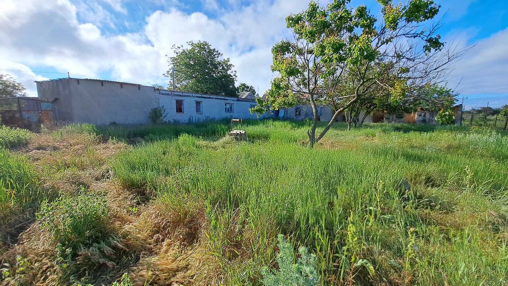 Ділянка 34 сот. в Коблево з будівлями