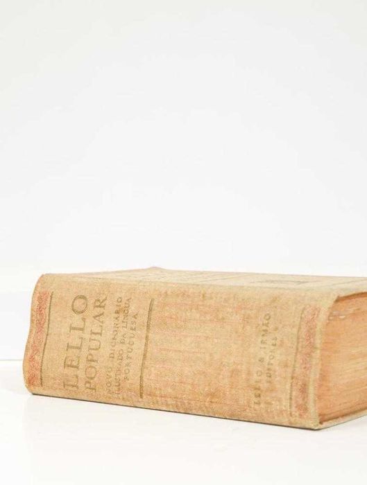 Lello Popular: Novo Dicionário Ilustrado da Língua Portuguesa