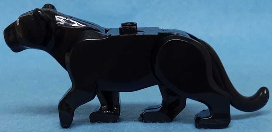 Panther (Animals)64737905513986122