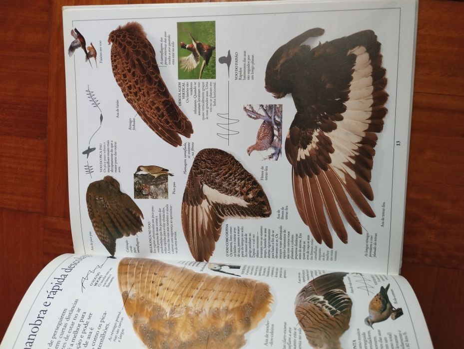 Enciclopédia Visual (1-8)