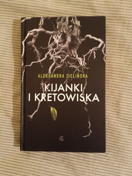 książka Kijanki i kretowiska Aleksandra Zielińska