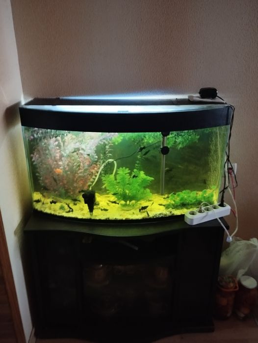 Продам аквариум с тумбой