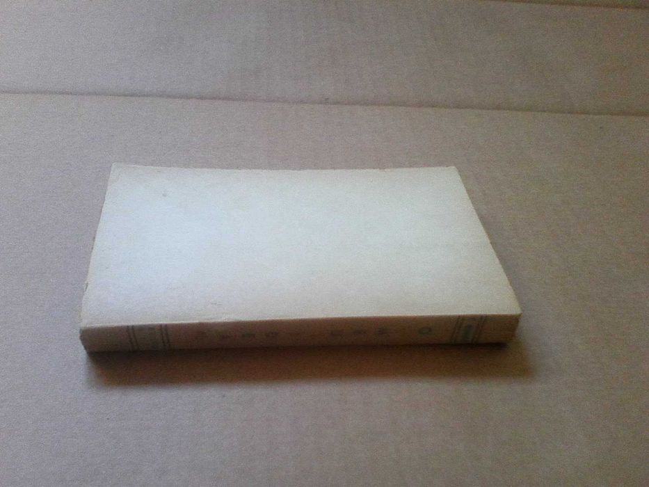 O Meu Ideal Jesus Filho de Maria