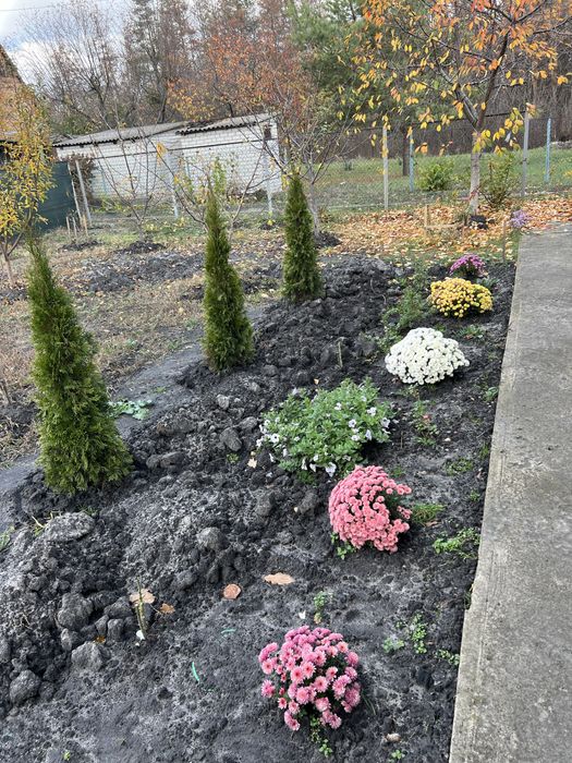 Продам дачу біля лісу