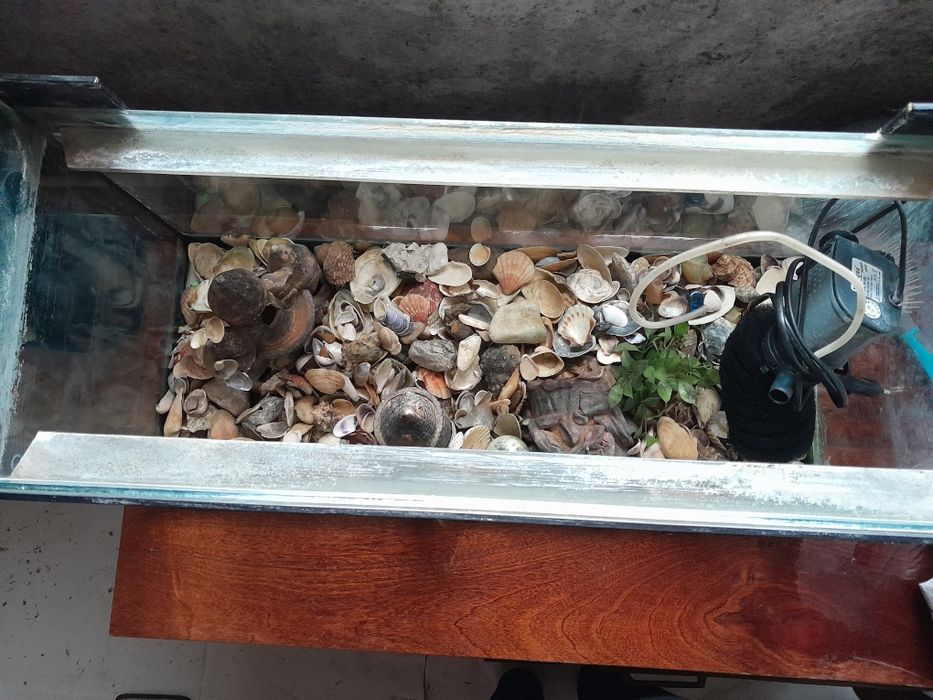 Продам акваріум з усим що в ньому є.