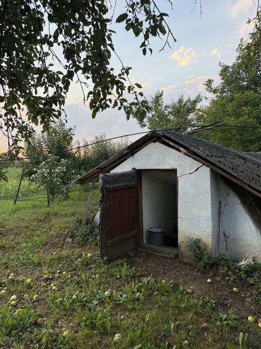 Продам будинок в селі