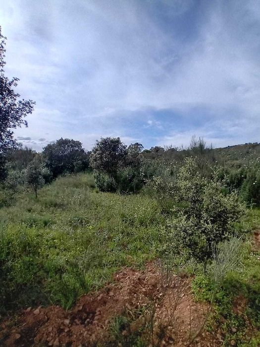 Terreno rústico com 1 Ha