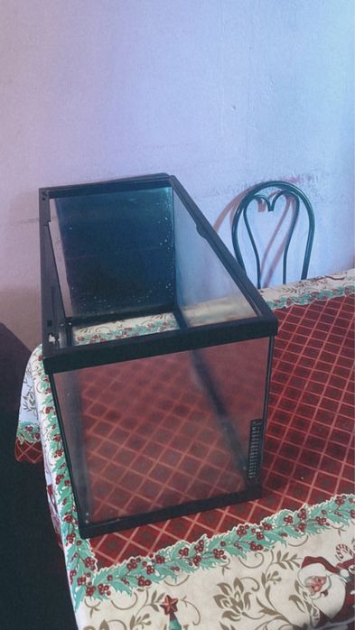 Aquário em bom estado