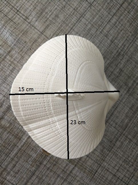 Molheira em formato de concha