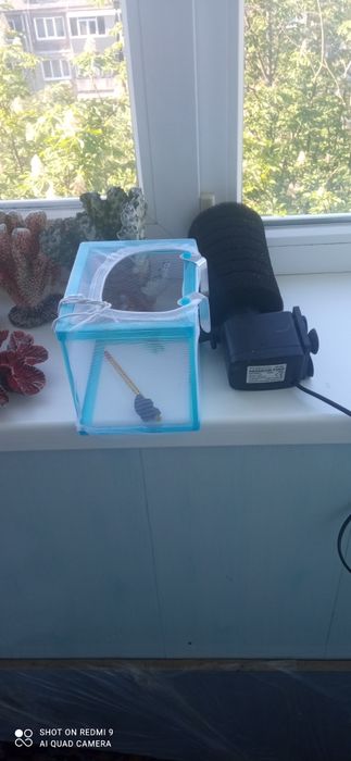 Аквариум большой