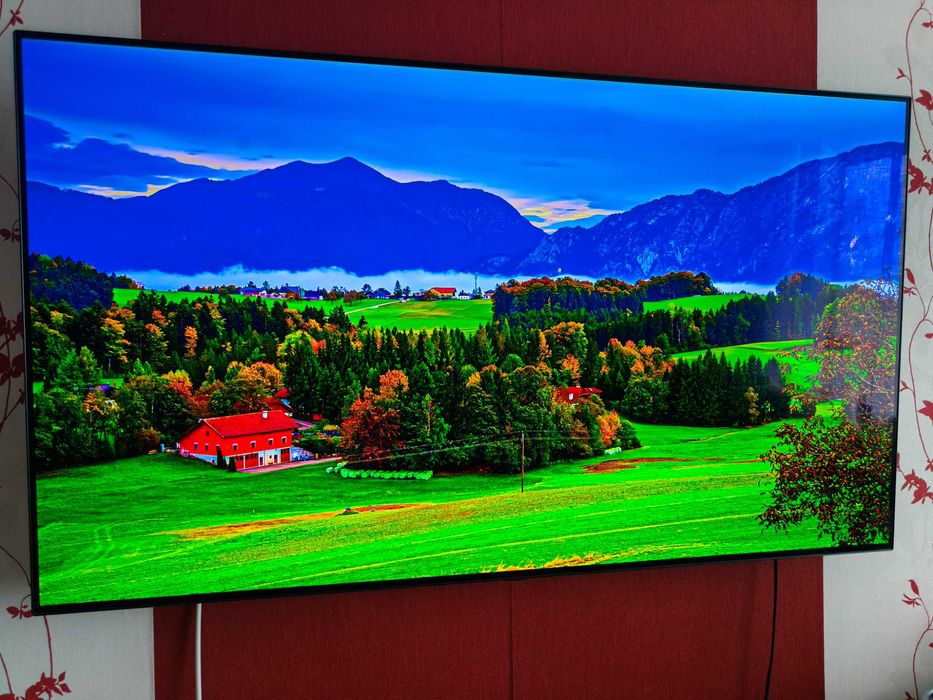 TV LG OLED 55 CX - uszkodzony