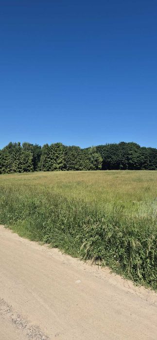 Na sprzedaż działka rekreacyjna w Sasinie – blisko morza i lasu! - Widok 4