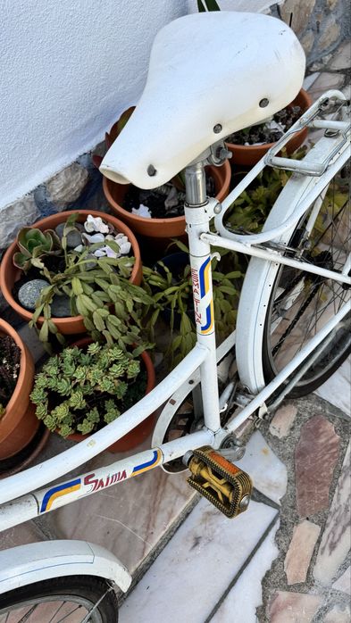 Bicicleta Esmaltina