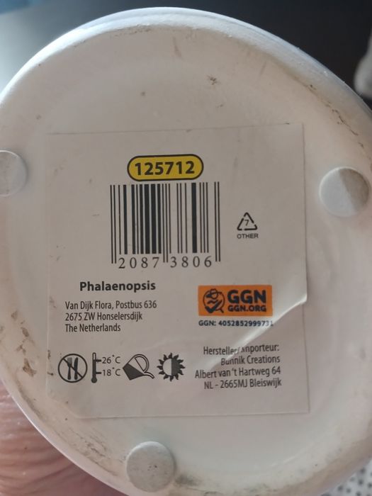 Кашпо из керамики для орхидей, есть дефект