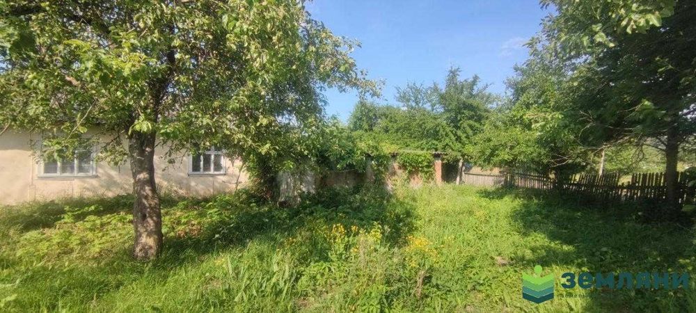 продається будинок +25 сот в с. Тисменичани (12)
