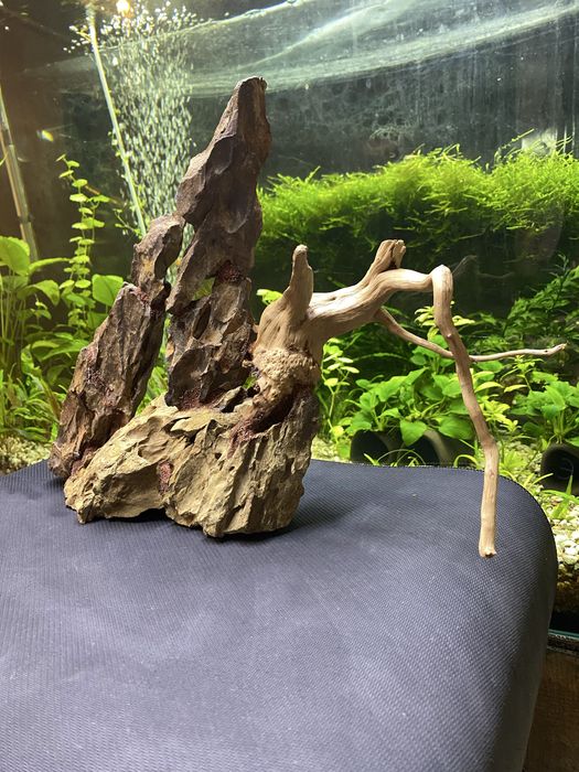 Аквариумная композиция из камня Dragon Stone и коряг азалии