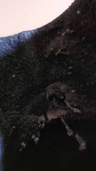 Kozaki czarne skórzane Lasocki