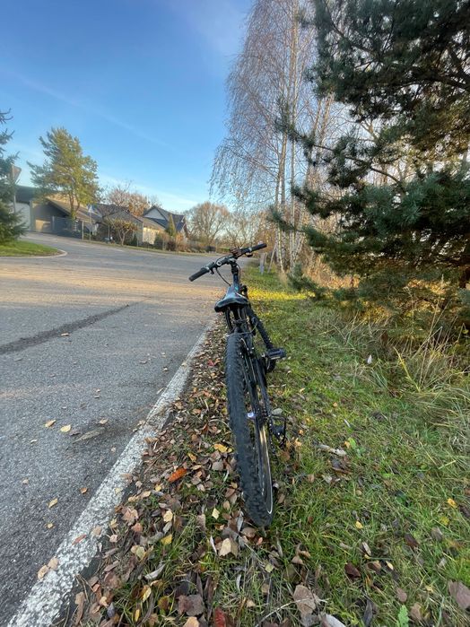 Rower kands  monster. Koła 26