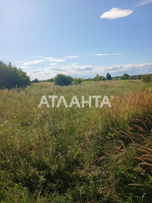 Чудова ділянка для вашого бізнесу