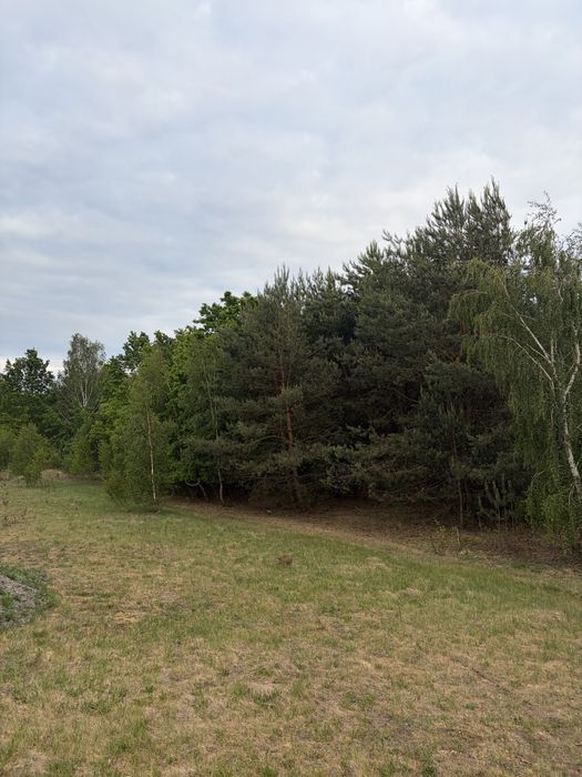 Działka rolno-leśna 2,43 ha | Nowe Wągrodno | 30 km od Warszawy - Widok 6
