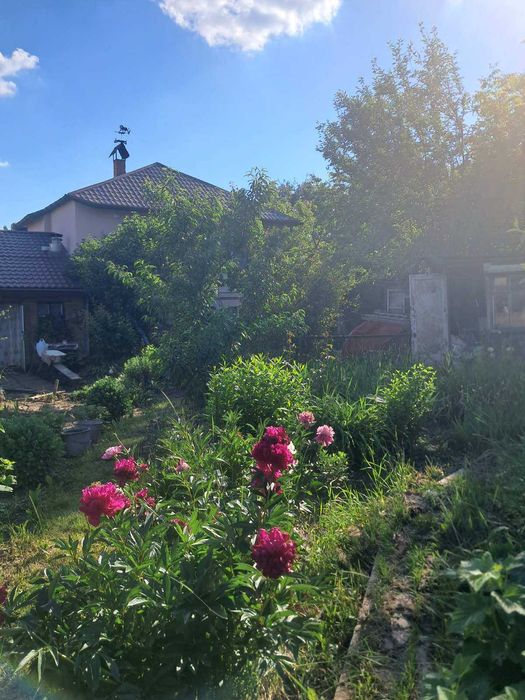 Продам частину будинку на П'ятничанах 0962 - View 3
