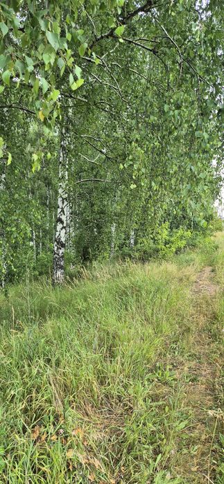 Продам участок 30соток