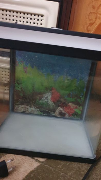 Акваріум на 12 літрів