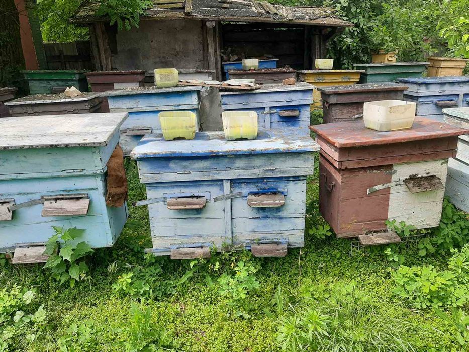 Продам вулики. Вулики для бджіл
