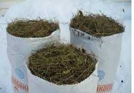 Сено зелене в мешках тюках