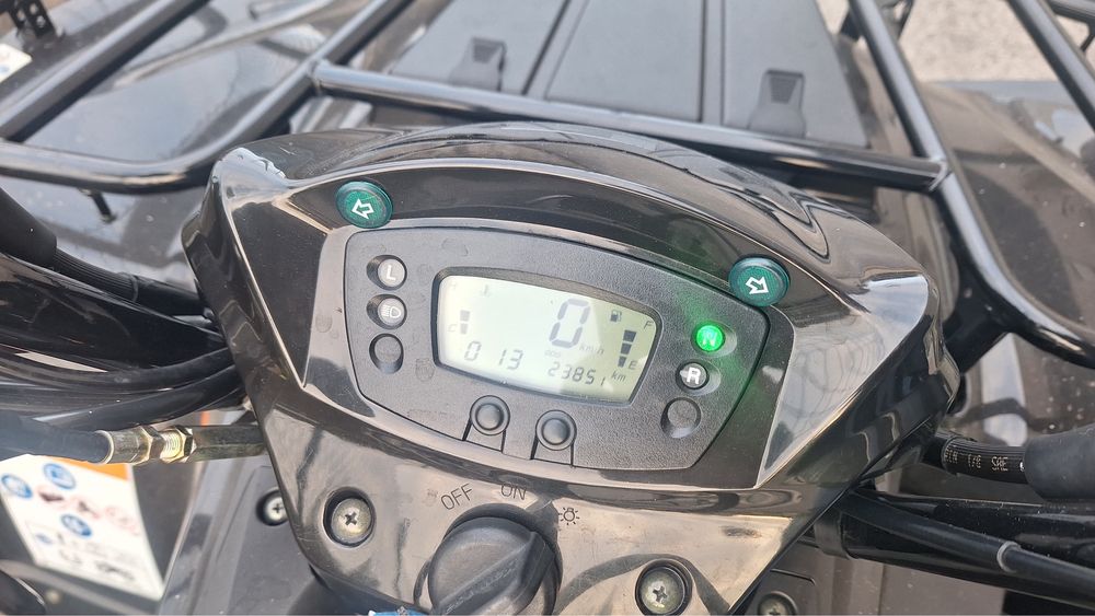 Kawasaki brute force 300