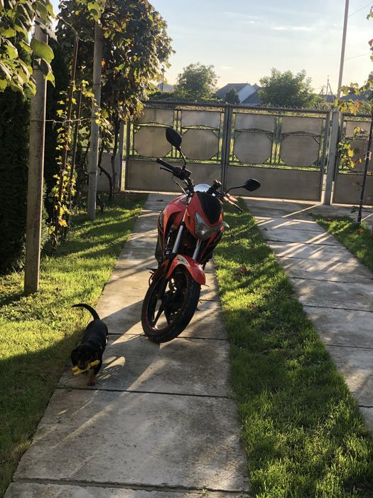Продам мотоцикл Geon Pantera n200