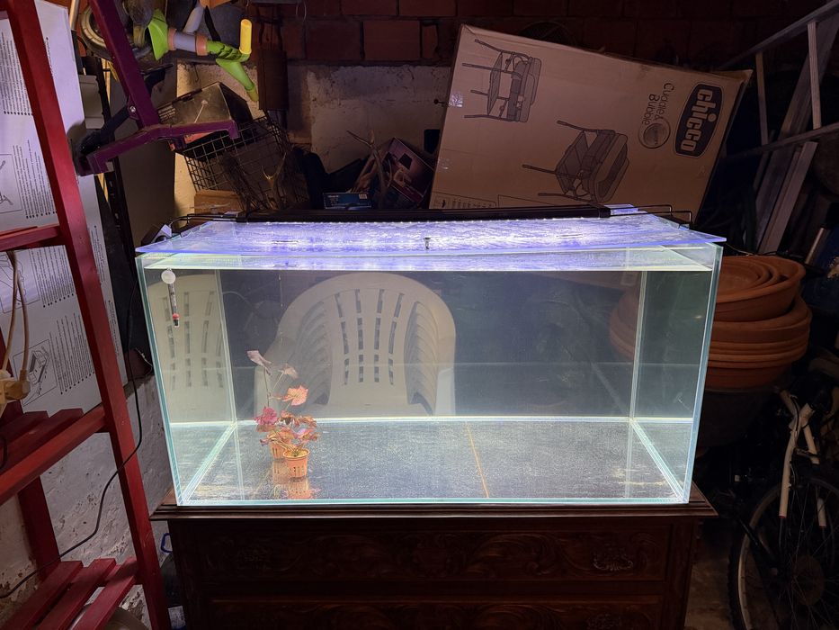 Aquário 250 Litros